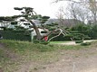 The English Garden