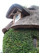thatched roof
